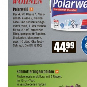 Gipskarton bei V-Baumarkt