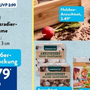 Gartengarnituren bei Aldi SÜD