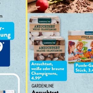 Champignons bei Aldi SÜD