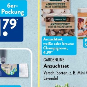 Champignons bei Aldi SÜD