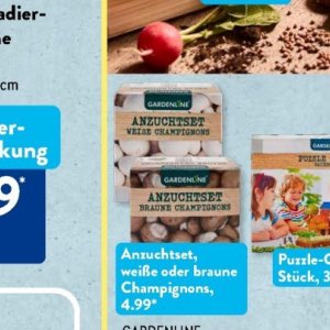 Gartengarnituren bei Aldi SÜD