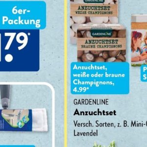 Champignons bei Aldi SÜD