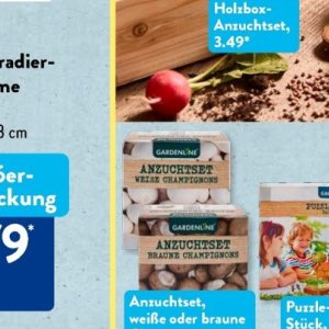 Champignons bei Aldi SÜD