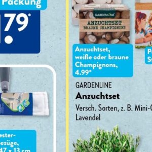 Gartengarnituren bei Aldi SÜD