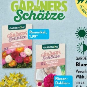 Gartengarnituren bei Aldi SÜD