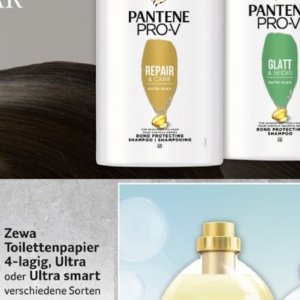 Shampoo bei Selgros