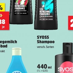 Shampoo bei Thomas Philipps