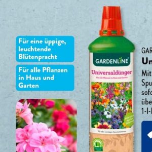 Garten bei Aldi SÜD