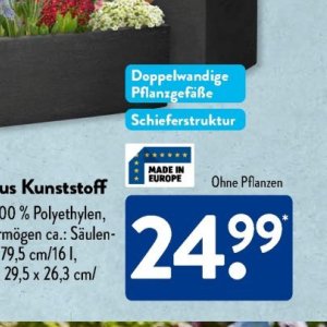 Pflanzen bei Aldi SÜD