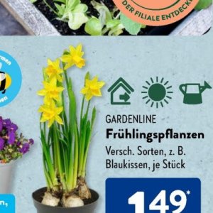 Gartengarnituren bei Aldi SÜD