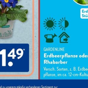 Gartengarnituren bei Aldi SÜD