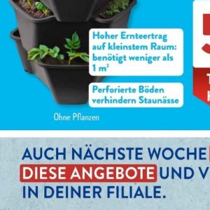 Pflanzen bei Aldi SÜD