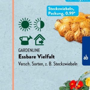 Gartengarnituren bei Aldi SÜD