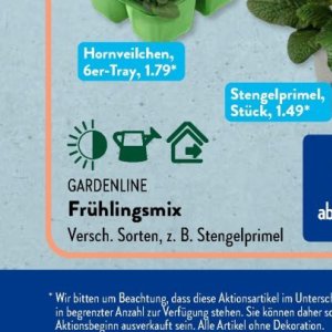 Gartengarnituren bei Aldi SÜD