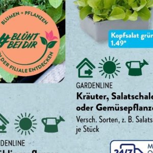 Gartengarnituren bei Aldi SÜD