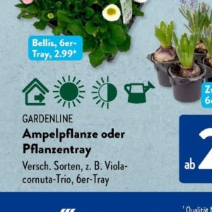 Gartengarnituren bei Aldi SÜD