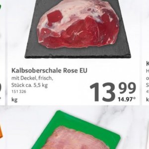 Rose bei Selgros