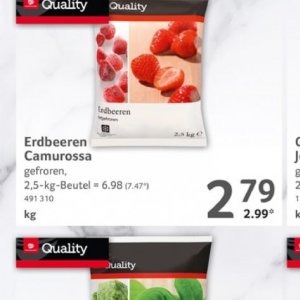 Erdbeeren bei Selgros