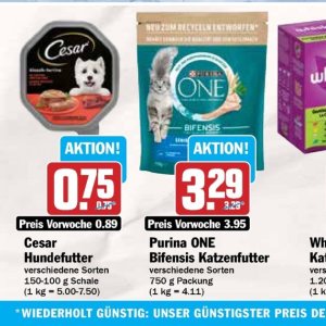 Hundefutter bei Hit