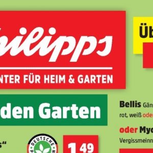 Garten bei Thomas Philipps