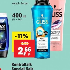 Shampoo bei Thomas Philipps