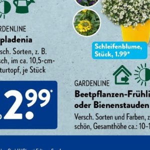 Gartengarnituren bei Aldi SÜD