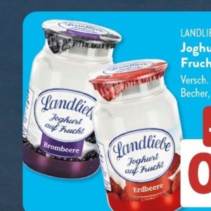 Joghurt bei Aldi SÜD