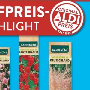 Gartengarnituren bei Aldi SÜD