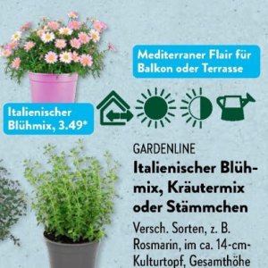 Gartengarnituren bei Aldi SÜD