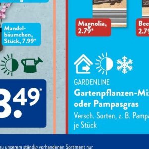 Gartengarnituren bei Aldi SÜD