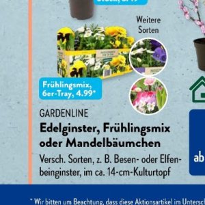 Gartengarnituren bei Aldi SÜD