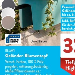 Pflanzen bei Aldi SÜD