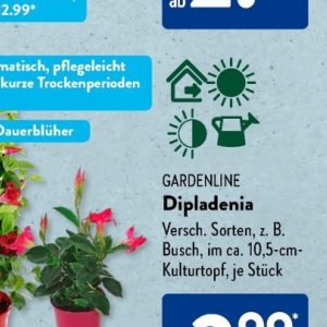 Gartengarnituren bei Aldi SÜD