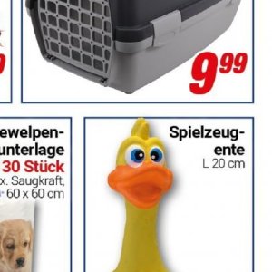 Ente bei Centershop