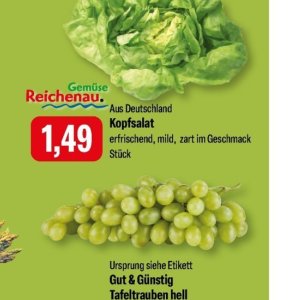 Kopfsalat bei Feneberg