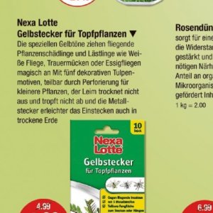 Pflanzen bei V-Markt