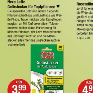 Stecker bei V-Markt