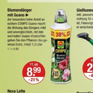 Pflanzen bei V-Markt