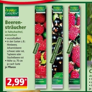 Himbeere bei Norma