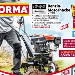   bei Norma