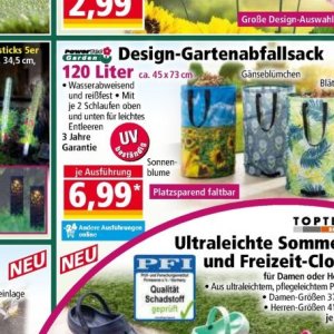 Sonnenblume bei Norma
