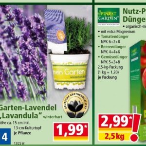 Garten bei Norma