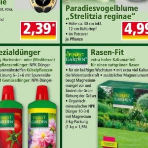 Katzenfutter whiskas  bei Norma