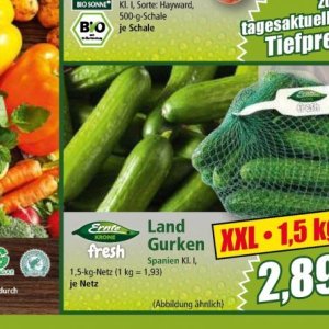 Gurken bei Norma