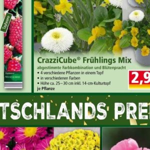 Pflanzen bei Norma