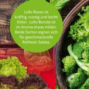 Salate bei Selgros