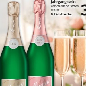 Rose bei Selgros