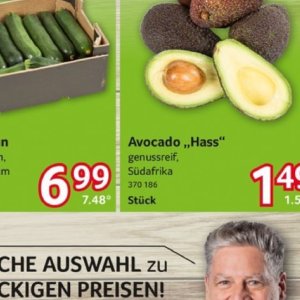 Avocado bei Selgros