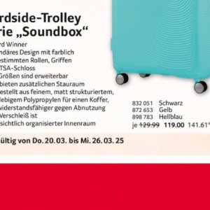 Koffer bei Selgros