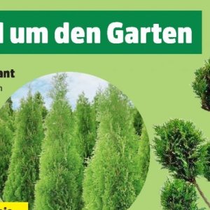 Garten bei Thomas Philipps